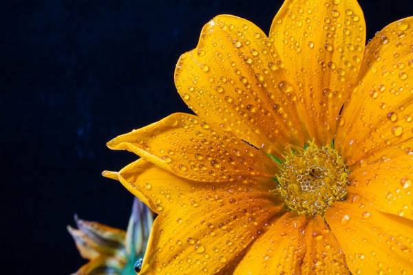 买保险最重要的是看什么？保险公司、产品性价比还是代理人综合素质？