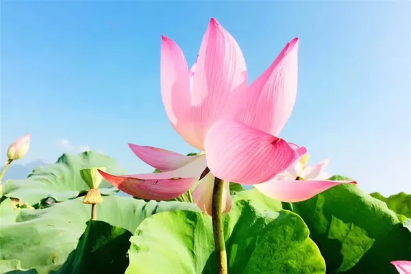 4种计算保额的方法帮助你选择好保额！