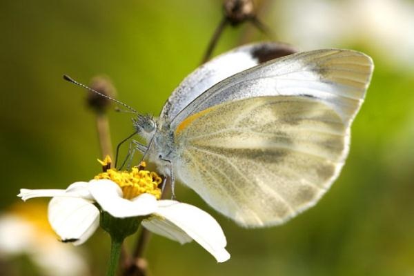 为什么会发生保险理赔纠纷？发生保险理赔纠纷怎么处理？