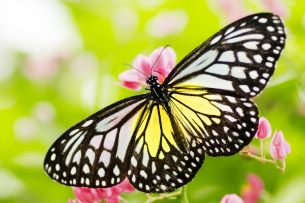 税优健康险真的值得购买吗？税优险的产品设置介绍