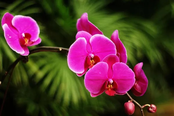 税优健康险具体应该如何选择呢？