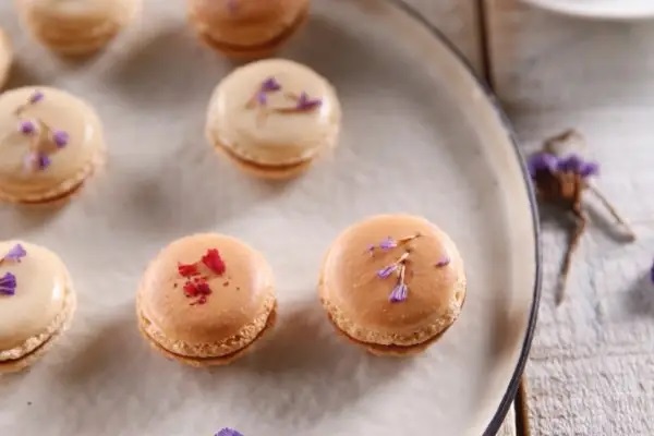 有什么同类型产品可以替代守卫者1号？