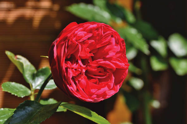 财产险是什么?应该怎么买?​