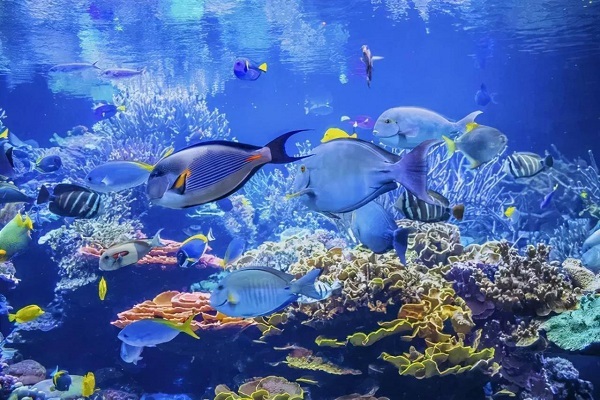 科普一遍工伤保险的待遇