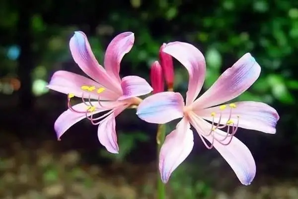 保险理财：是一种分散风险损失的可靠办法