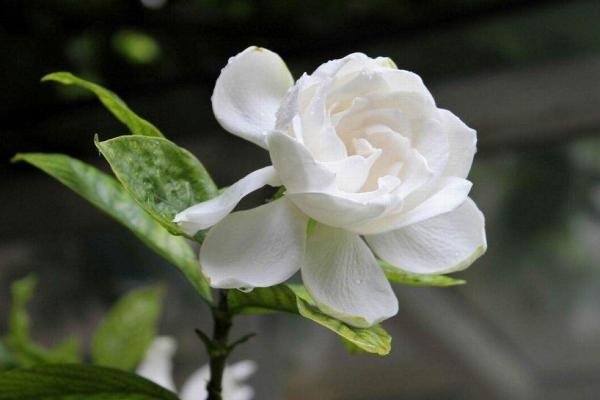 如何给儿童买保险 给儿童投保要注意什么