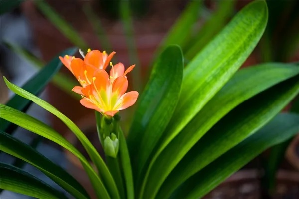 老人和小孩适合购买的保险！