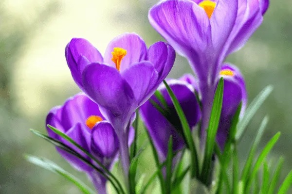 互联网经济-健康险的新机遇