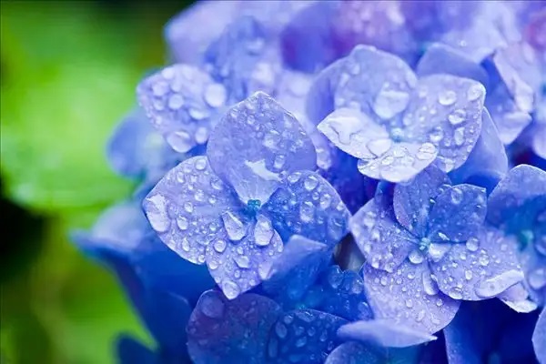 为什么说买保险可以让明天更轻松？