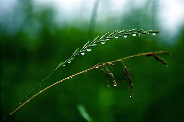 为什么说40岁之前一定要买重疾险？