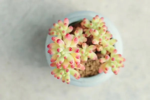 为什么说买保险不能等？