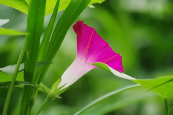 重疾险可以让孩子无忧无虑的成长