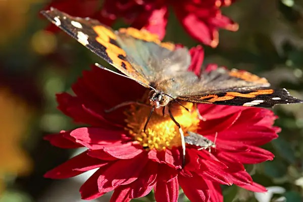 公积金又有变化！4月15日开始执行！