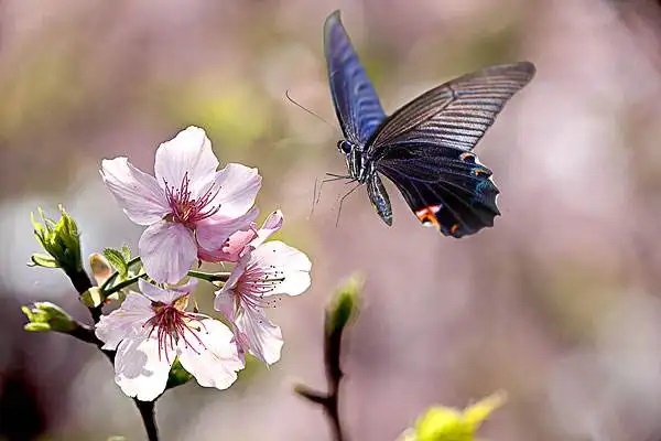 关于公积金新政的变化，你了解了吗