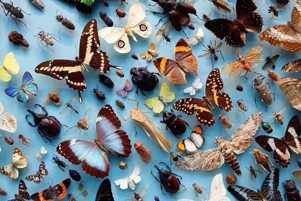 HPV疫苗的几个常见问题，大家一定要了解一下！