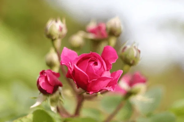 失业保险有什么用?是没工作就发钱么?