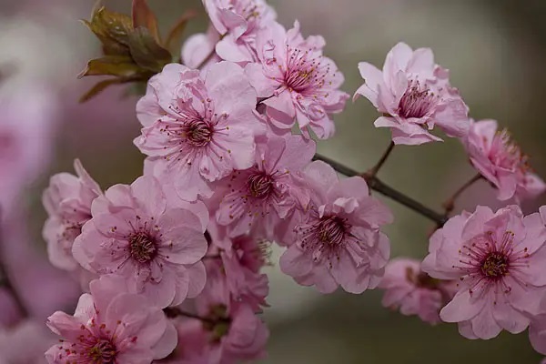 众安在线，一款阿里和腾讯新的合作