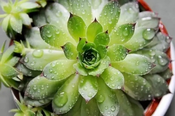 我们该如何预防癌症？