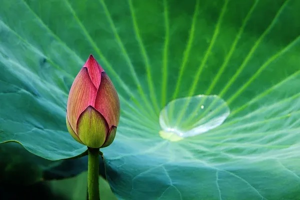 销售渠道：传统线下销售