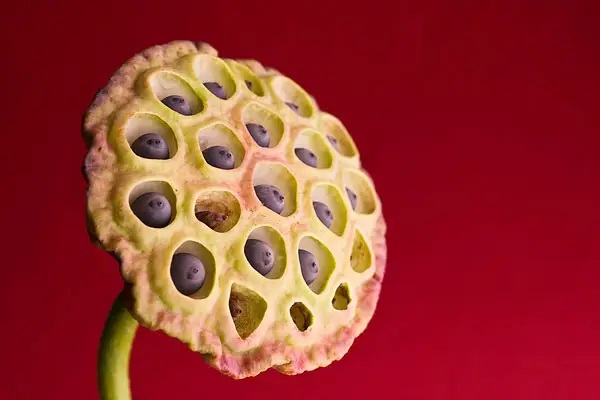 保险理赔怎么办？理赔流程如何走