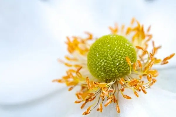 酒驾翻车后第二天才去报案，结果保险公司拒赔23万！