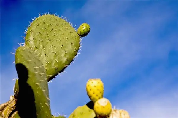 低投入，高回报——定期寿险，家庭经济的保护伞