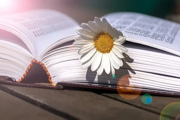 请不要瞧不起保险“中介”