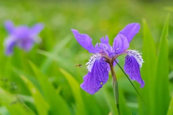 让互联网技术惠及千千万万保险用户
