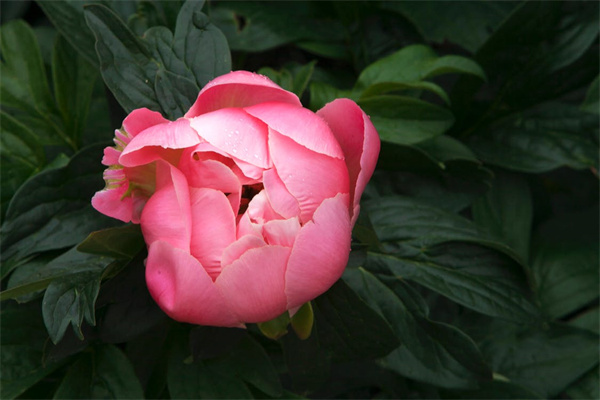 保险体检我们所需要知道的那些事儿！