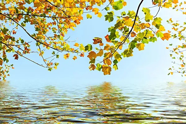 保险行业最大的问题是什么？