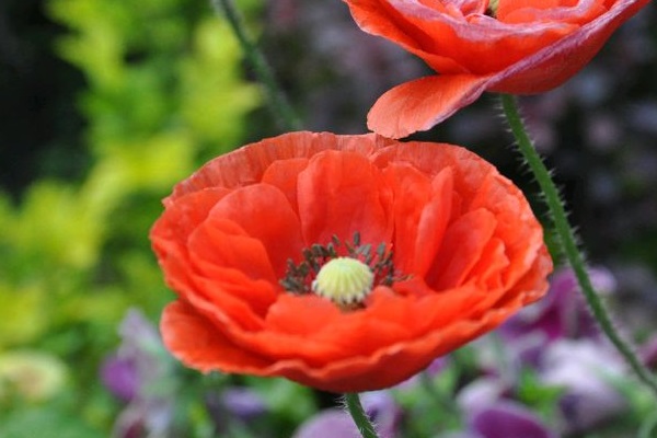 万亿“安全保险”市场的大势