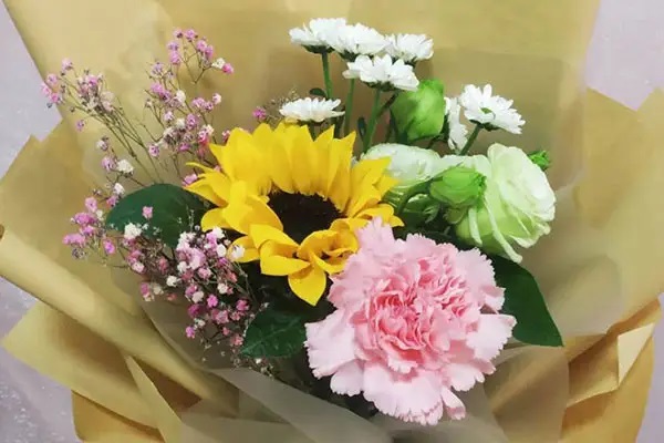 如何解决客户对于保险的服务内容