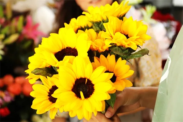 号外！众安科技以前沿科技融合破解数据隐私难题