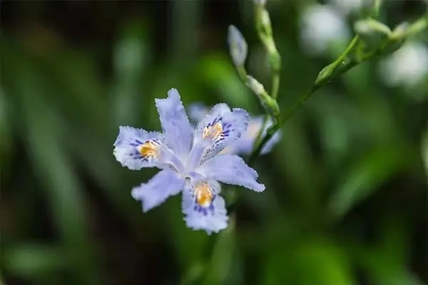 顺风车出车祸后保险公司该不该赔？法院判保险公司赔钱？