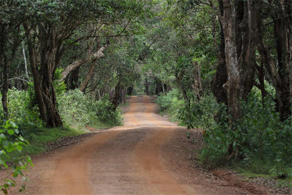 有关精算定价和承保如何思考