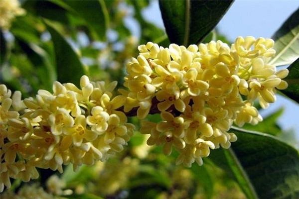 理赔时保险公司如何进行调查？