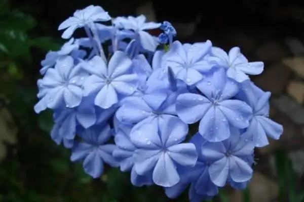 如何保住家庭顶梁柱？