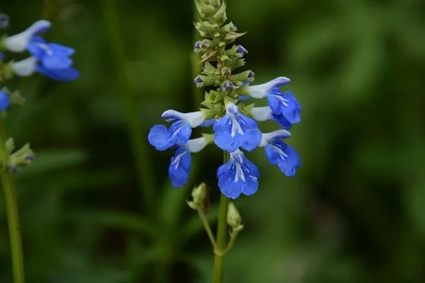 既然有了百万医疗险，我还买什么重疾险