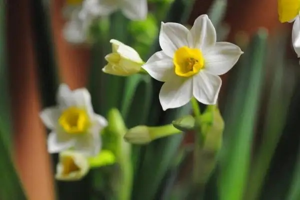 医保异地结算，怎么办理？