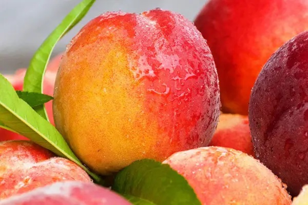 保险到底属不属于夫妻财产，了解共同财产的重要性