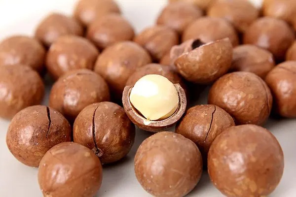 少儿保险四种类型详解