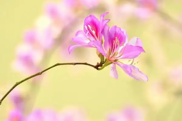 成本、效率和用户体验三者兼得才能成为赢家