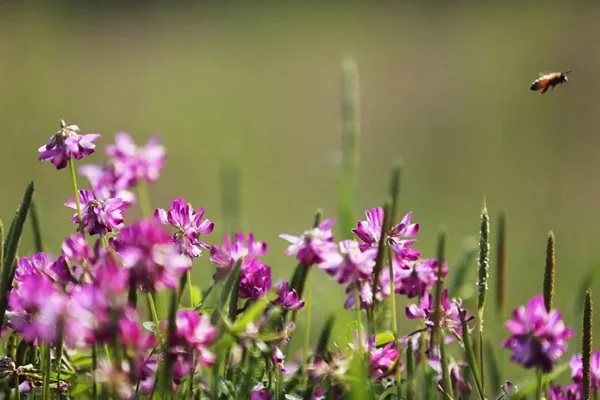 寿险理赔调查中，需要你规避的风险有哪些？