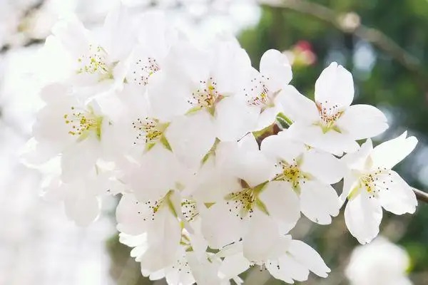 2019年个人参加城镇职工医疗保险缴费标准是多少