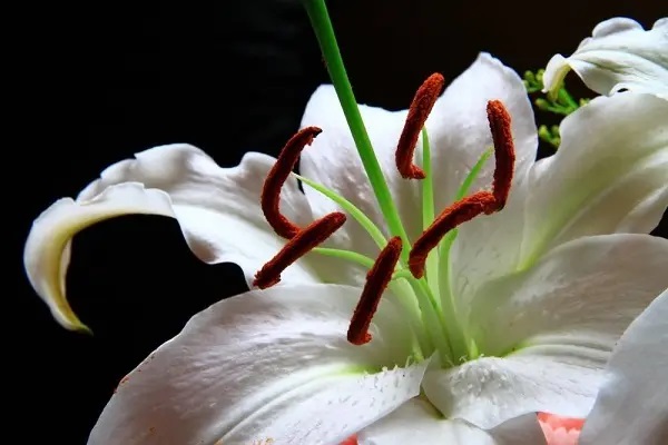 车险改革成功都需要做什么？