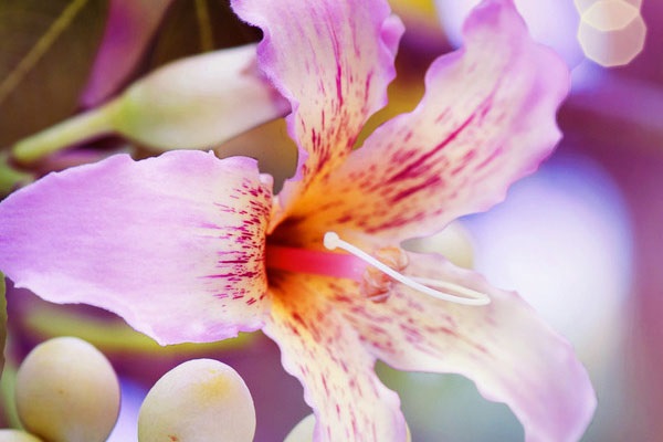 我国保险对于风险定价的看法