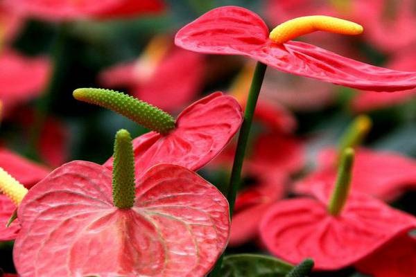 突破寿险销售瓶颈如何推动保险行业