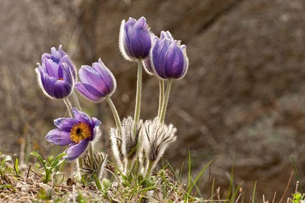 寿险赋能销售可以借鉴的案例和途径