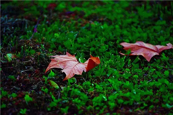 为什么越来越多的人争相购买理财保险?