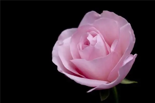 不体验不知道，电话车险和4S店买车险有这么大差别!